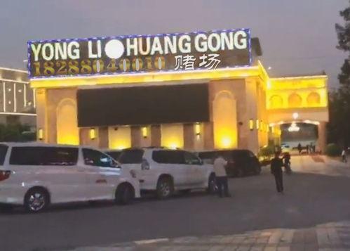 驹哥最新动态爆料,揭秘娱乐圈幕后风云